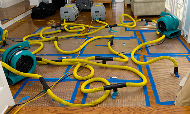 Professional Flood Damage Restoration technician working in Seal Beach, CA